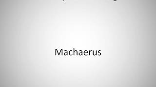 How to say Machaerus in English [upl. by Laws]