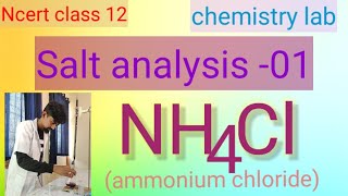 Ncert class 12chemistry practicalsalt analysis 01NH4ClAmmonium chloride [upl. by Anitnamaid]