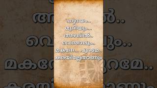 Hridayam muriyumshorts malayalamtrending shortsfeed trendingshorts songlyricsshorts [upl. by Legge]