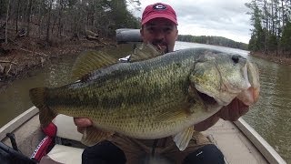 How to Find Fish  Bass Fishing [upl. by Reltuc]