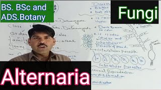 Alternaria complete topic [upl. by Sorazal781]