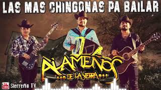 Los Alameños de La Sierra  Las Mas Chingonas Pa Bailar  100 Cumbias Sierreñas [upl. by Immat313]