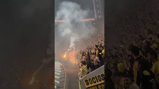 Hinchada De Peñarol Semifinal Libertadores 2024 LOS DUEÑOS DE LA FIESTA [upl. by Mechelle]