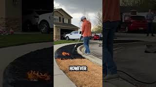 Why Did This Man Burn His Lawn 🔥🌱 You Will Be Surprised Why 😲 [upl. by Suoicul]