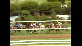 1991 Melbourne Cup  Lets Elope [upl. by Areid434]