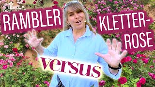 Ramblerrose VS Kletterrose    Erfahren Sie WELCHE Rose SCHÖNER wirkt  RückschnittTiPPs [upl. by Lleksah]