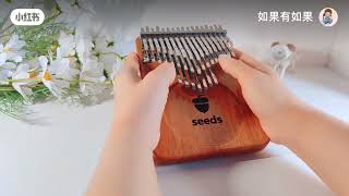 If love had Providence  seeds kalimba 41 key kalimbakalimbasongsmarimbas [upl. by Rame]