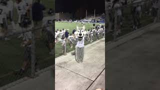 Wolfie Touchdown Dance NPHS vs McEachern 112 [upl. by Vinna]