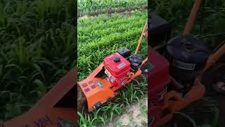 Tillage ditching and soil raising machine [upl. by Carvey]