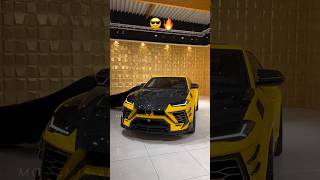 Lamborghini Urus  2024 Modified 😎 lamborghini fyp supercars shorts [upl. by Arahk]