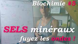 Les Sels Minéraux clefs de notre SANTE  Biochimie 5 [upl. by Ecenahs833]