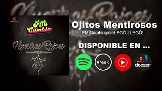 Ojitos Mentirosos COVER  PM Cumbia ¡Y Llegó Llegó FRAGMENTO Medley Cumbia 80s [upl. by Anez]