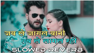 Jab le jagal bani tab le lagal Rahi 😜 lofi remix song 🎧slowed reverbbhojpuri khesari [upl. by Goddart]