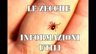 LE ZECCHE informazioni su di un PARASSITA poco conosciuto 🕷🕷 escursionisicure [upl. by Margherita305]