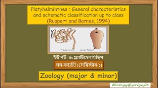 Exploring Platyhelminthes General Characteristics and Classification [upl. by Aiseneg]