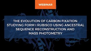 Studying Form I Rubisco using ancestral sequence reconstruction and mass photometry [upl. by Aivatnohs]