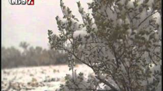 Snow video from Channel 7 in Odessa [upl. by Philander102]