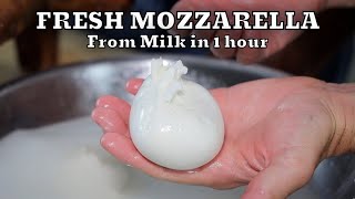 HOW TO MAKE FRESH MOZZARELLA REAL FROM SCRATCH  At Home Very Easy [upl. by Etteloiv]