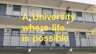 Linnaeus University  A University where life is possible [upl. by Winwaloe205]