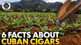 Six Facts about Cuban Cigars  The Cuban Cigars [upl. by Letnuhs795]