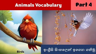 Animals Vocabulary Part 4 🐦  Birds 🕊☁️ [upl. by Iggam]