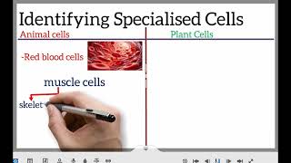 Form 3 Combined Science Chapter 1 Intro Cells and Levels of Organization [upl. by Serg]