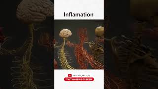 Inflamation Inflamation ibnetabeeb tibeunani herbalmedicine shorts ytvideo foryou [upl. by Acinet430]