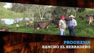 SuizBu  RANCHO EL HERRADERO [upl. by Darrick178]