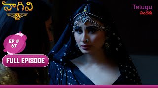 Naagini S2  నాగిని S2  Ep 67  Rocky Discovers Tanyas Secretరాకీ తాన్య రహస్యాన్ని తెలుసుకుంటాడు [upl. by Glass793]