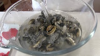 Come Spurgare le Vongole E BILANCIARE LA PERCENTUALE DI SALE PER OTTENERE RICETTE PROFESSIONALI [upl. by Sopher]