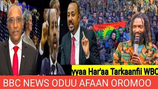 ODUU AFAAN OROMOO BBC NEWS [upl. by Marquet]