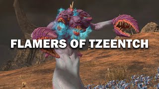 FLAMERS OF TZEENTCH  Total War Warhammer 3 [upl. by Niwrad]