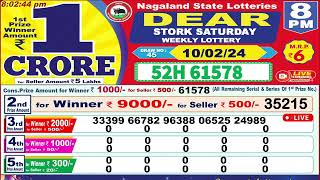 Dear Stork Saturday Weekly Lottery 8PM 10022024 Dear Goverment Lottery Live Draw Results [upl. by Seibold766]