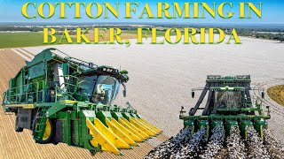 Farming for Cotton in BAKER FL [upl. by Hamish701]