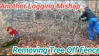 Removed Tree From Fence ANOTHER Logging Mishap BackHomeWithUs logging loggers fencerepair [upl. by Apple]