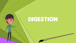 What is Digestion Explain Digestion Define Digestion Meaning of Digestion [upl. by Dixil]