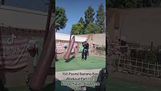 150 Pound Banana Bag Workout Part 172 Kenpo Karate Bag Work Part 2 [upl. by Alolomo679]