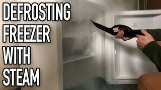 Defrosting Freezer with a Steam Cleaner in 10 Minutes [upl. by Innavoj974]