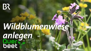 F 1 Wildblumenwiese anlegen [upl. by Leblanc]