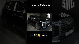 Hyundai Palisade [upl. by Karine]