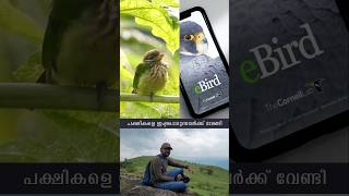 👆 ഈ Tutorial കാണൂ  Complete eBird Tutorial  Malayalam  Kerala  shorts [upl. by Manson]