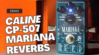 Caline CP507 Mariana Reverbs pedal [upl. by Aicilla]