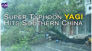 Trees uprooted streets flooded as Super Typhoon Yagi strikes Chinas Hainan [upl. by Eceinert922]