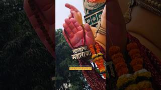 🚩 THANYACHA MAHARAJA  🚩thanyachamaharaja ganpati bappa ganpatibappamorya viral shorts [upl. by Lozano]