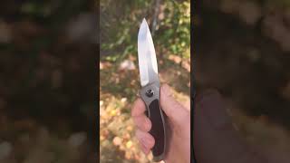 Maxace Perseus edc edcreview everydaycarry blade edcknife pocketknife [upl. by Nalra545]