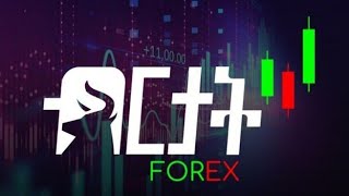 birtat forex  part 6 beginner course [upl. by Otha]