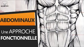 Abdominaux  Anatomie et Entraînement une approche fonctionnelle [upl. by Megdal470]