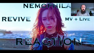 NEMOPHILA  REVIVE MVLive  REACTION [upl. by Kreiner]