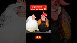 Murga vs murgi  dream boy 007  shorts comedy funny memes viral [upl. by Nodnnarb506]