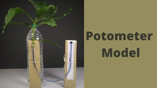 Potometer Model  ThinkTac [upl. by Ekrub719]